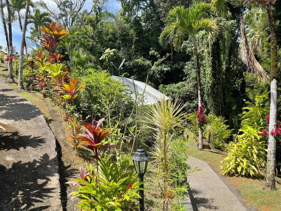 Jardin Secret Villa Petit-Bourg Bagian luar foto